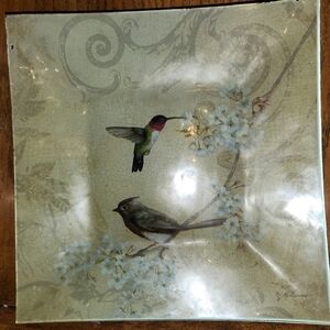 CnI Design By Art In Motiin Elegant Glass Art Plate with Hummingbird